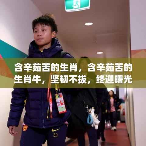 生肖牛含辛茹苦，坚韧不拔，终见曙光，逆境中的坚韧与希望