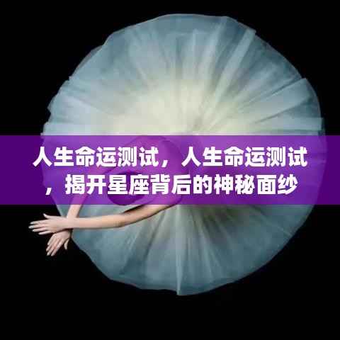 揭秘星座背后的命运密码，人生命运测试深度解析