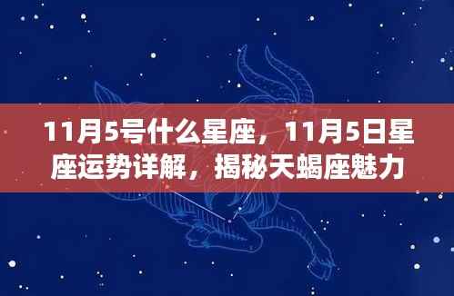 揭秘天蝎座魅力背后的秘密，11月5日星座运势详解与星座特征探寻