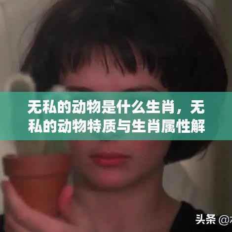 无私动物特质与生肖属性解读，揭秘生肖中的无私动物真面目