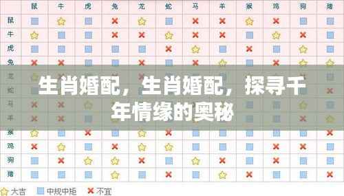 生肖婚配奥秘，探寻千年情缘的缘分密码