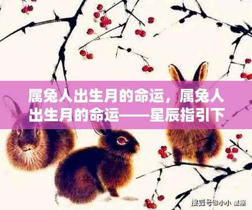 指手画脚 第6页