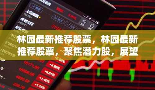 林园聚焦潜力股，最新推荐股票及股市前景展望