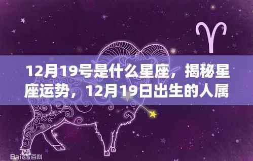 揭秘星座运势，12月19日出生的人的星座属性与运势解析