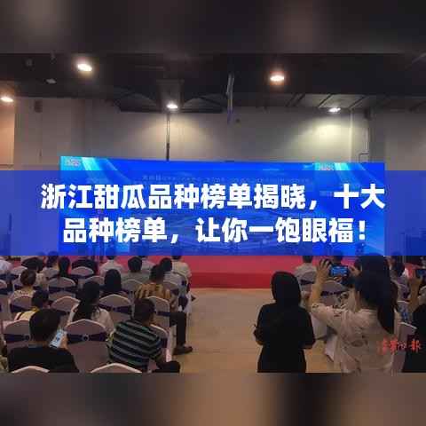 浙江甜瓜品种榜单揭晓，十大品种榜单，让你一饱眼福！