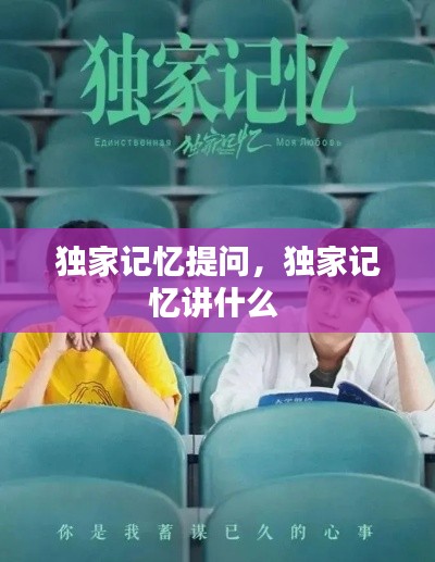 独家记忆提问，独家记忆讲什么 