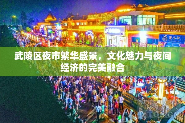 武陵区夜市繁华盛景，文化魅力与夜间经济的完美融合