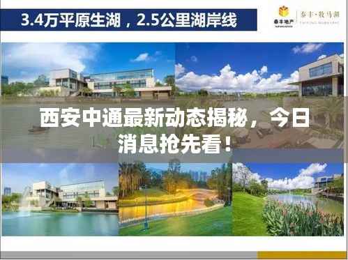 西安中通最新动态揭秘，今日消息抢先看！
